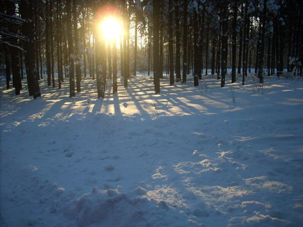 zdjecie Piłatowszczyzna