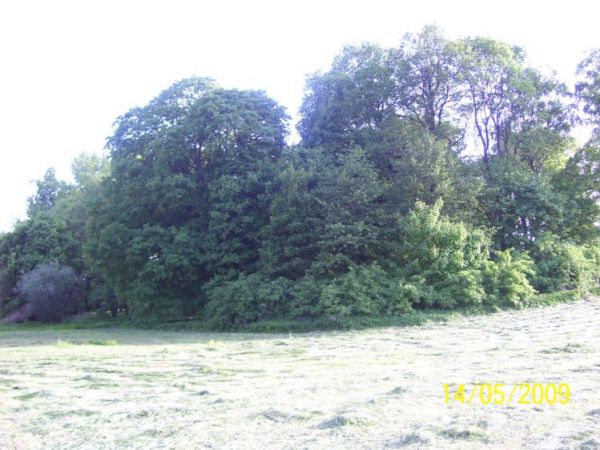 zdjecie Dobieszewice