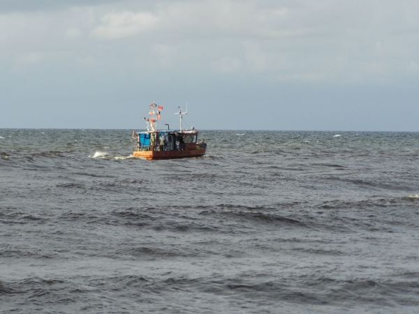 Rybacy wypływają w morze codziennie,potem można degustować świeże wędzone ryby w pobliskiej smażalni.