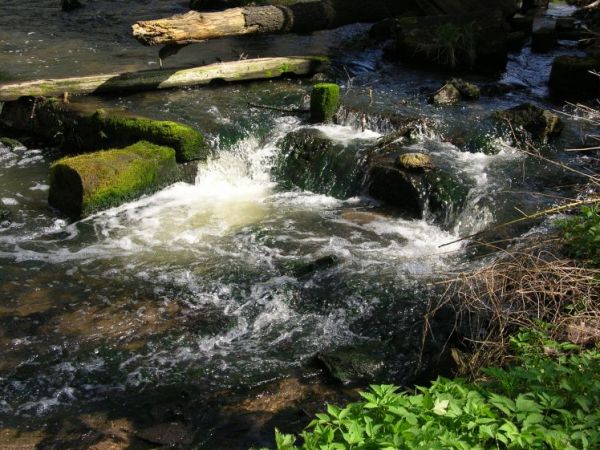 Rudy Raciborskie - Ruda