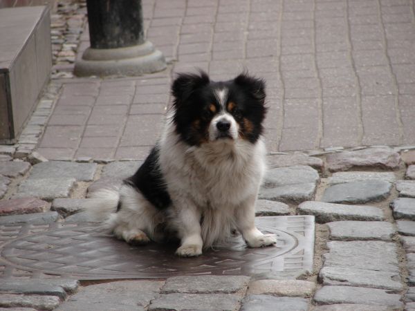 Maszewo - nie ma tu do zwiedzania nic ciekawego