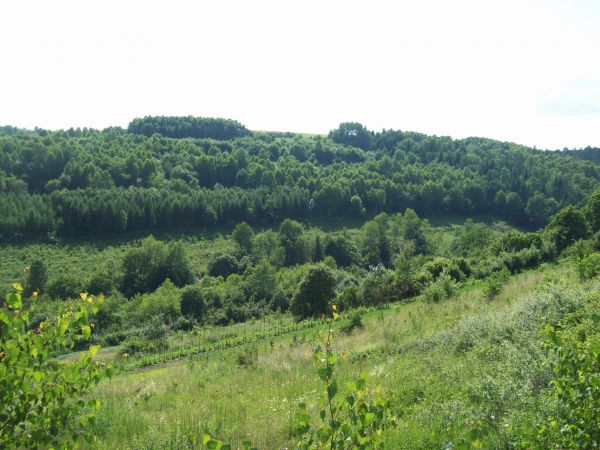 Krzemienna gm. Dydnia