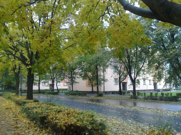 Ulica Wojska Polskiego