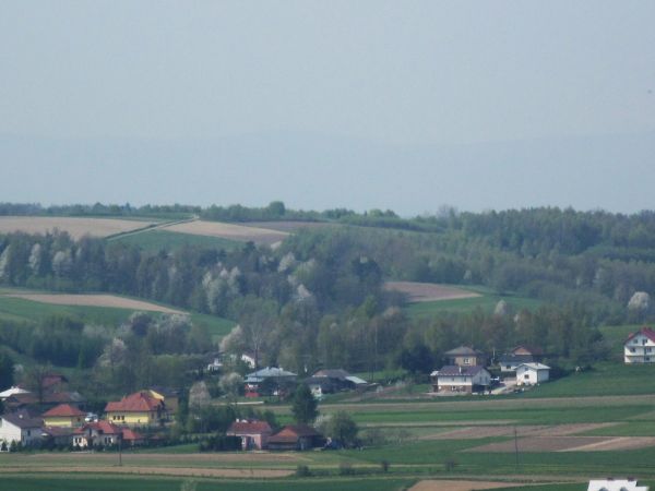 Wiosna 2010r. w krajobrazie w Przybówce.