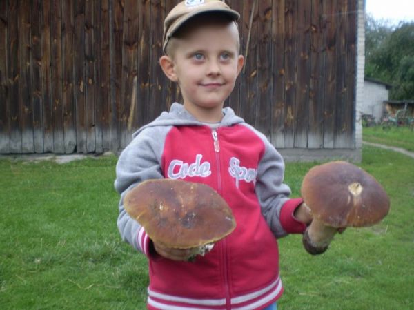 A takie okazy tylko w Czaryżu