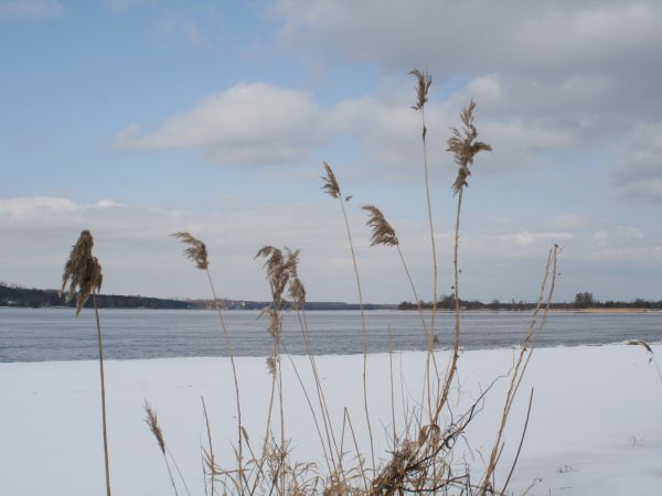 Fot. Ewa Kamila Jabłońska