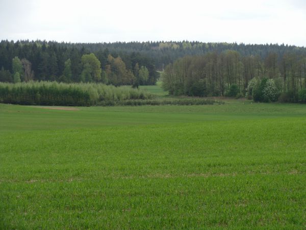 Najbliższa okolica:)