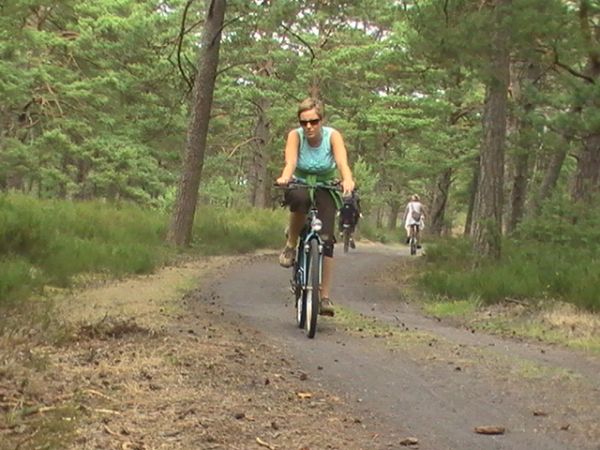 Taka droga wiedzie do miejscowej plaży!!