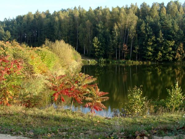 Śladków Mały-w moim sercu WIELKI