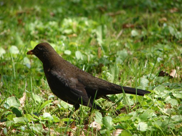 Kuracjusz w Połczynie Zdroj