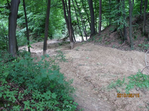 Ziemia z usuwiska o grubości powyżej 50 cm. zasypuje potok Miniora.