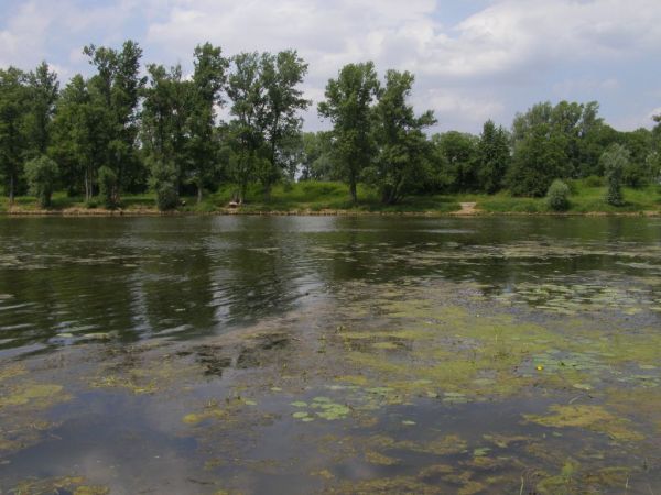 Głogów  Famaba z tyłu fot. 4