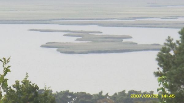 Wyspy na delcie Świny