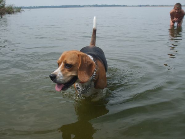 zdjecie Siedlątków