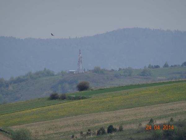 "niedźwiedzie piwo warzą" - ale to w dolinie Kalniczki a nam pogoda łaskawą pozostanie ? - oby tak ! tam też: Tarnawa Górna /jest galeria - zapraszam/.