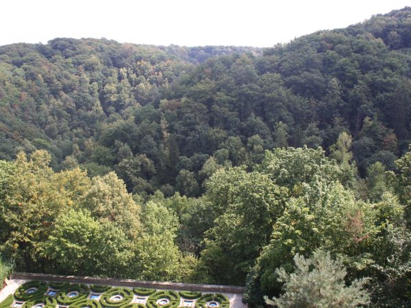 widok z tarasów zamkowych - coś o tych lasach przepastnych słyszeliśmy, pełnym tajemnic...