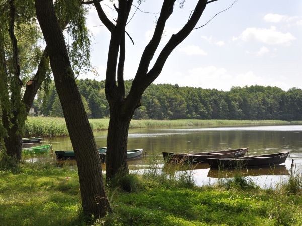 Wolsztyn, nad jeziorem.