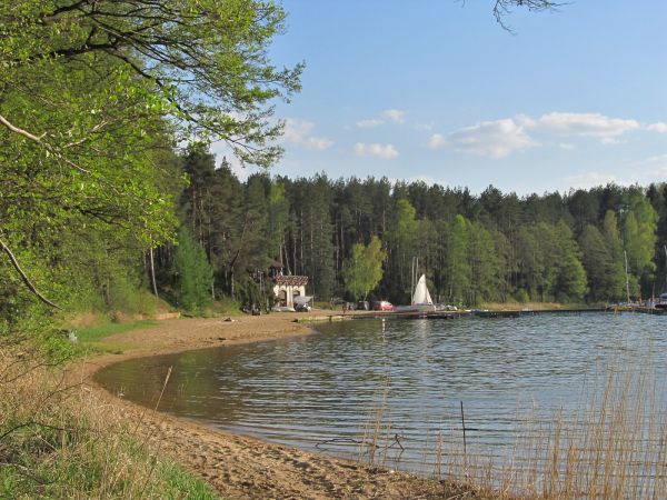 Na brzegu jeziora Wdzydze przy OW Largo