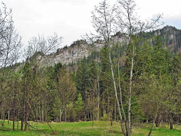 Skały Nosala