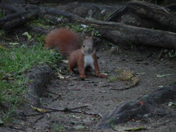 Chwila w Parku Oliwskim