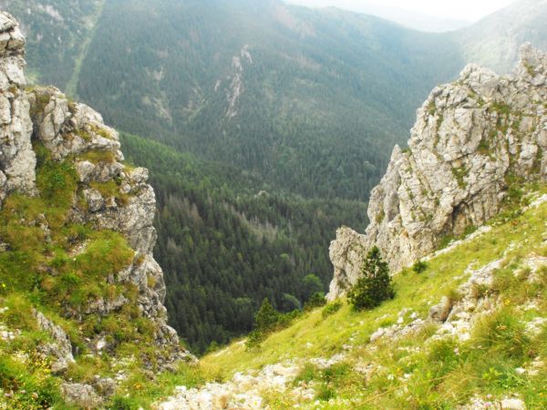 Widok z Sarniej Skałki