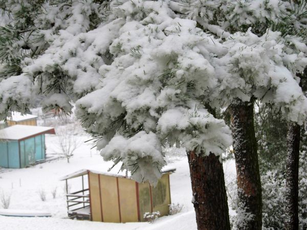Zimowa sceneria terenu przy ulicy Mickiewicza, nad rzeką Wdą i ogródki działkowe, MALINA
