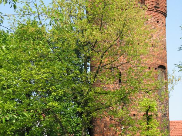 Pyrzyce - mury miejskie