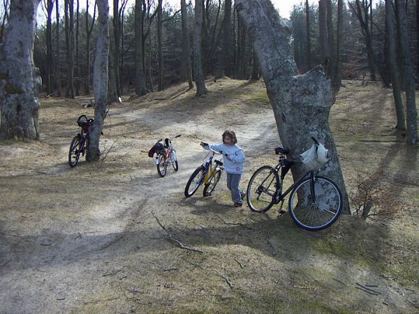 Rowerem po lasach Poddąbia