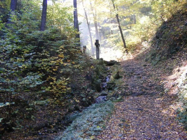 Droga na Górę Bardzką