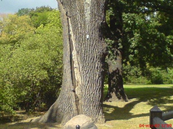 Park Szczytnicki