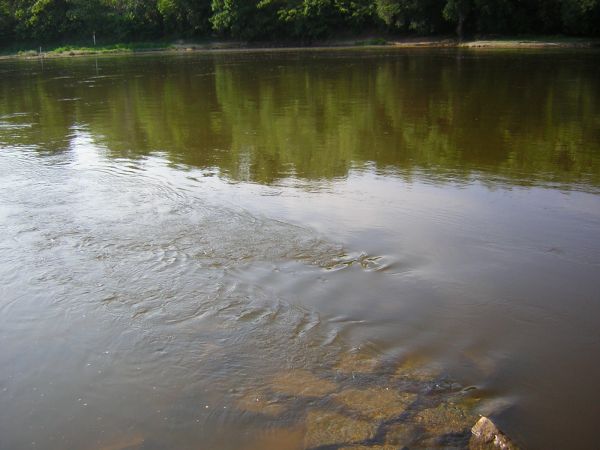 zdjecie Sulechów