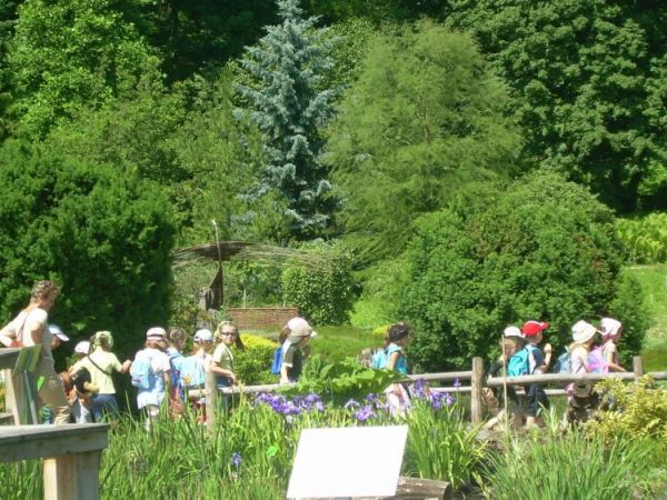 Arboretum w Bolestraszycach