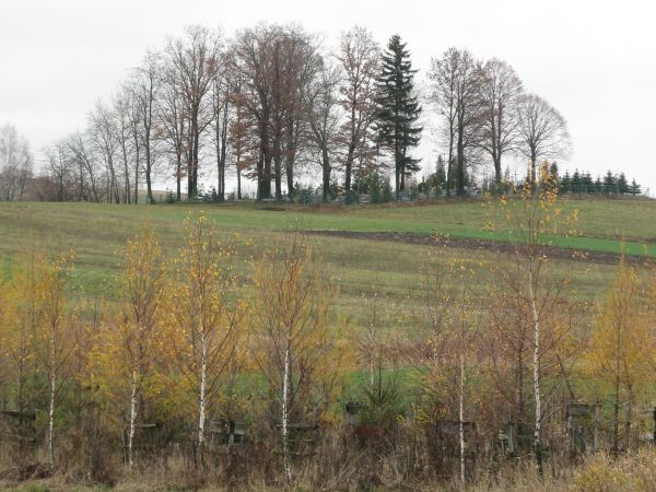 na widokowym wzniesieniu: cmentarz greckokatolicki, grzebalny, zadbany,  ogrodzony z bramą i furtką a w okolicy czyrykanie słychać - to głos wydawany przez zwoł