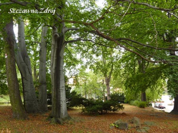 zdjecie Szczawno-Zdrój