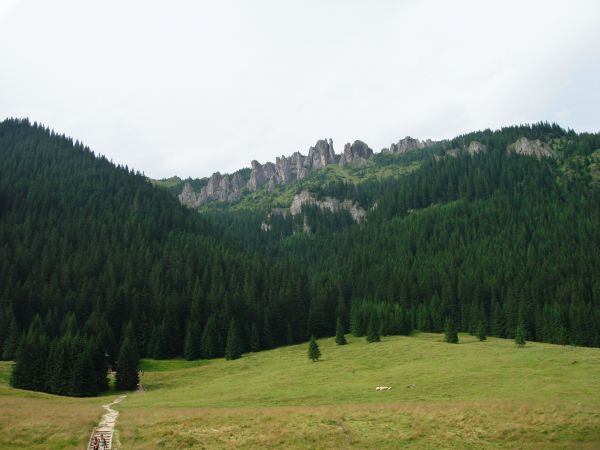 Dolina Chochołowska, Kościelisko