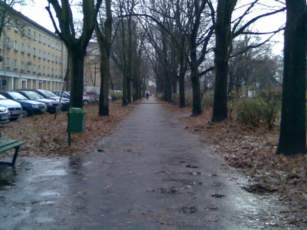 Migawka z Poznania Dębca.