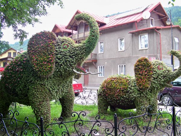 Centrum miasta.