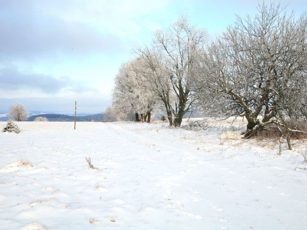 Zima w Pasterce w górach Stołowych. Malutka, malownicza wioska u samego podnóża Szczelińca Wielkiego jest unikalną już oazą ciszy i spokoju zadziwiając przy tym