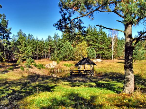 Tutaj " U Krystyny" można dobrze wypocząć