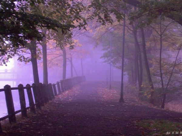 Kalisz - In General Park