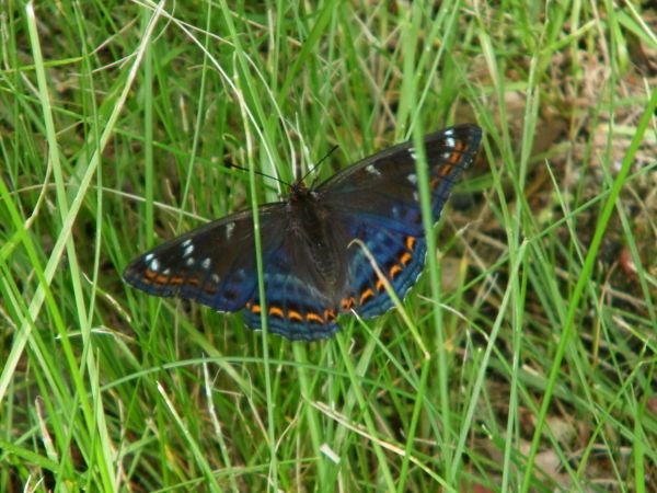 jak się nazywa nie wiem  nawet kiedy to było i gdzie zrobione ale to nie grzech w dobie autostrad wiatraków