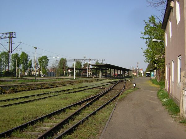 zdjecie Sulechów
