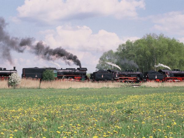 Wolsztyn,Parada Parowozów.