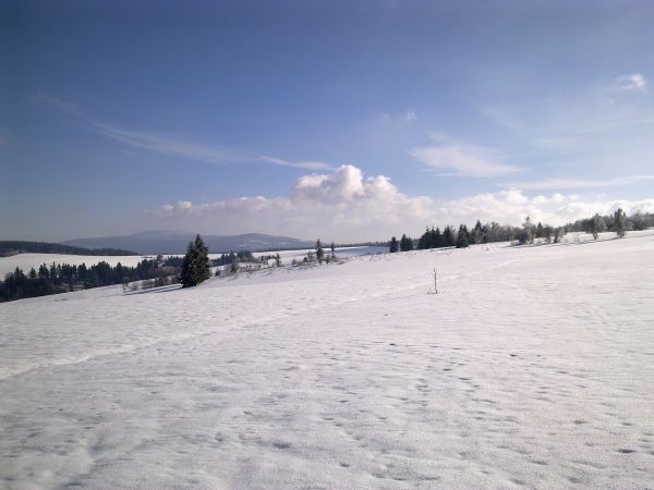 Różanka - żółtym szlakiem na Bochniak (713 m n.p.m.)