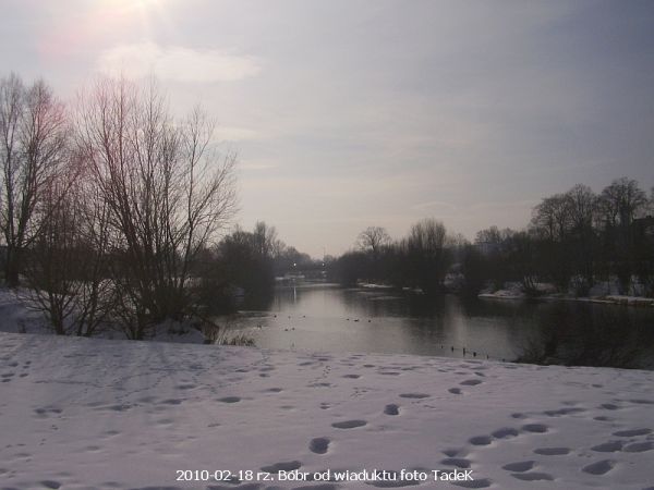 Kaczki czują poprawę pogody ...
