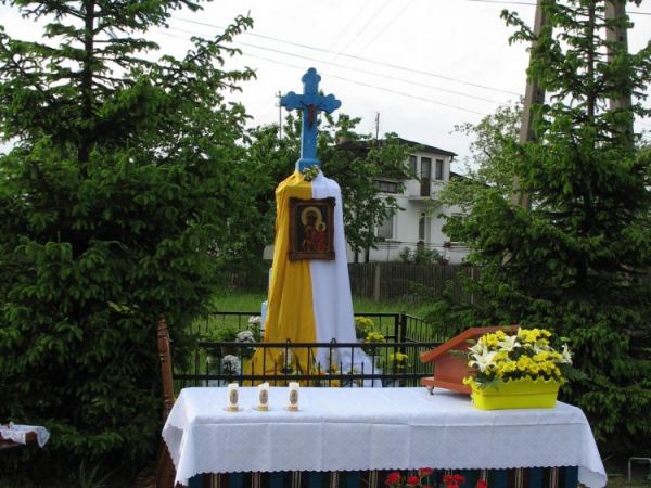 Zdjęcia Brzustowiec