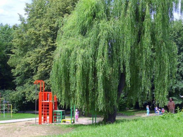 Plac zabaw na Górze Św. Marcina