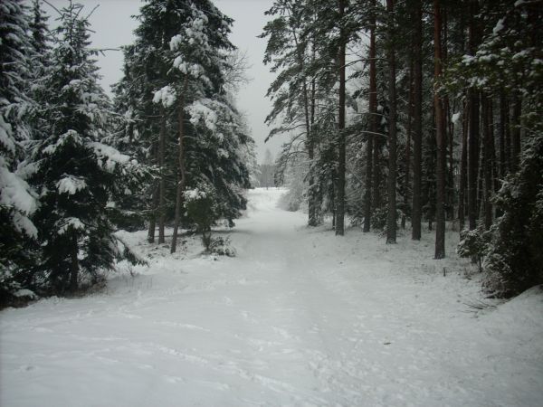 zdjecie Piłatowszczyzna