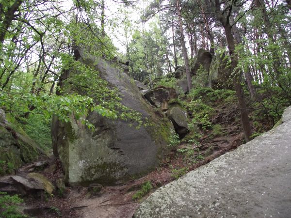 zdjecie Ciężkowice