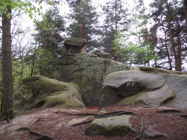 zdjecie Ciężkowice